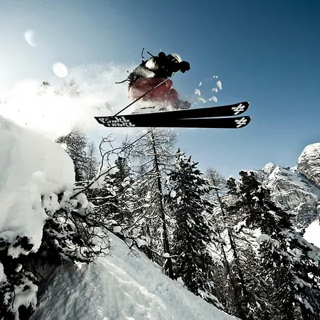 アパート Haus Wulfenia ノイシュティフト・イム・シュトゥーバイタール