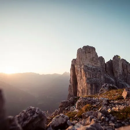 Haus Wulfenia アパート *